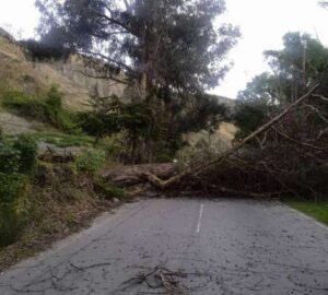 Atienden obstrucción en la vialidad del páramo en Mérida 