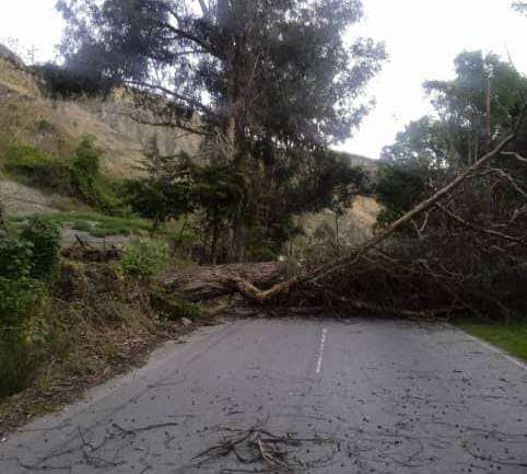 Atienden obstrucción en la vialidad del páramo en Mérida 