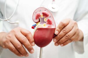 Cuidar los riñones es vital para el cuerpo