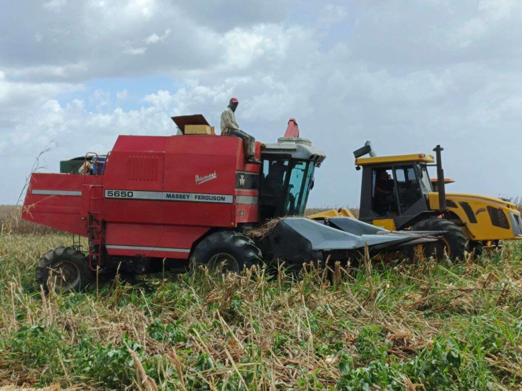 En Aragua impulsan la Producción Agroalimentaria