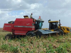En Aragua impulsan la Producción Agroalimentaria