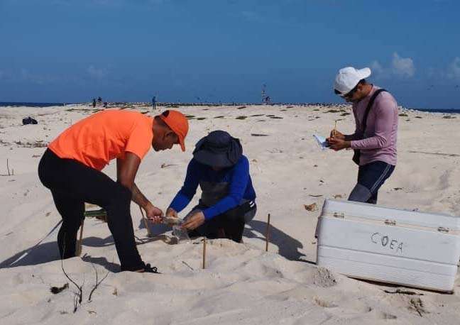 Evalúan impacto del turismo en parques