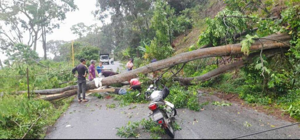 Fallece ciudadano por lluvias en Mérida