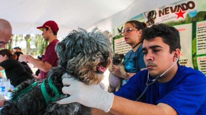 Misión Nevado ofrecerá jornada de atención veterinaria en el Zulia