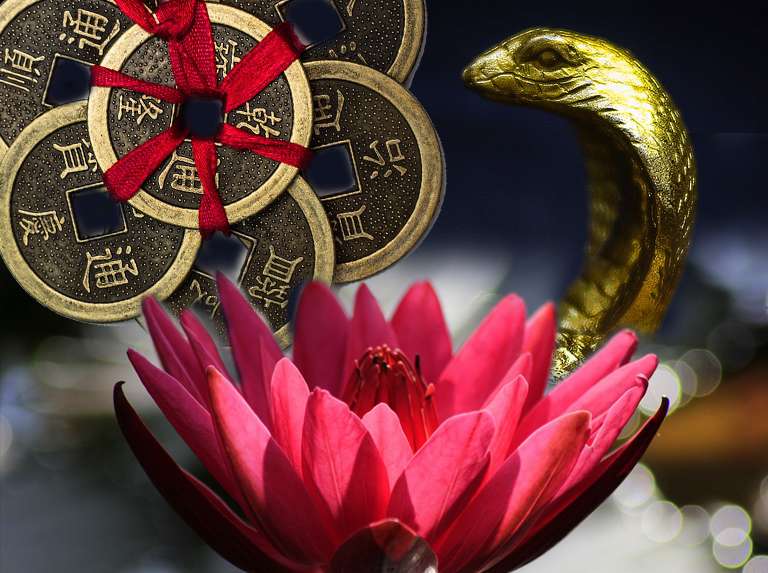 Noviembre energía de la Serpiente