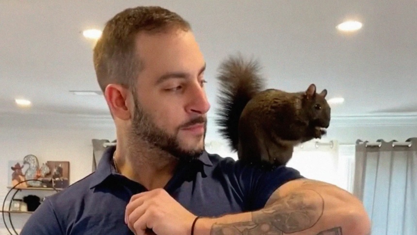 Dueño de la ardilla Peanut sacrificada reveló sus próximos pasos: 'Asesinaron a mis animales'