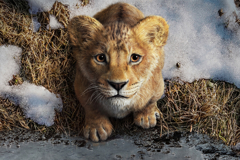 Ya he visto 'Mufasa' y es una digna precuela que funciona mejor cuando se despega de 'El rey león'