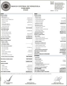 Banco Central de Venezuela Balance al 30/11/2024