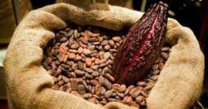 La Asociación de productores de cacao fijó precios para comercialización