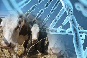 Juan Fernando Serrano Ponce - Manejo de la reproducción en sistemas ganaderos; Clave para la sostenibilidad y productividad - FOTO