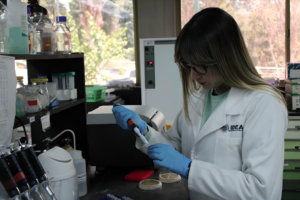 Estudian terapias para reducir secuelas de ACV