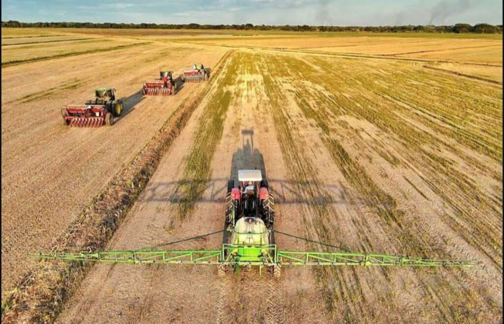 Guárico inició la siembra de arroz del ciclo Norte Verano 2024-2025