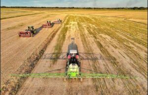 Guárico inició la siembra de arroz del ciclo Norte Verano 2024-2025