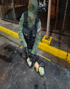 Incautaron 20 panelas de cocaína en Bolipuertos