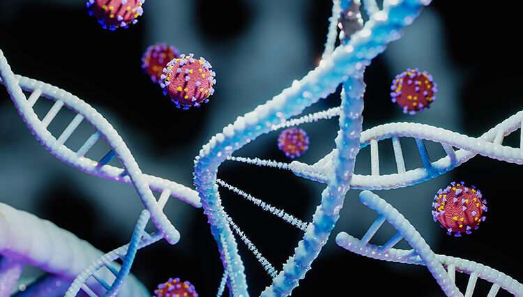 Investigación revela que el SARS-CoV-2 utiliza hemoproteínas para invadir el organismo