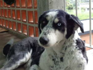 Kyra: El día después de la fiesta