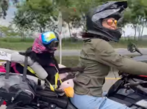 Uma, la perrita viajera que inspira a miles con su historia de vida nómada