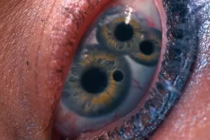 mejores-peliculas-terror-2024