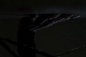 Está en Prime Video, es un remake de una de las mejores películas de terror y la firma uno de los directores más interesantes del momento