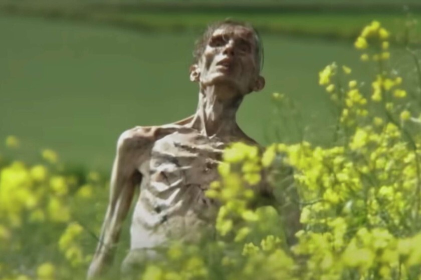 Cillian Murphy estará en '28 años después', pero no como esperábamos. Un productor de la película zanja la especulación sobre su aparición en la esperada película