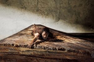 Una de las mejores películas de ciencia ficción de la historia no es suficiente. Esta mítica historia volverá a ser contada 68 años después con un actor ganador del Óscar