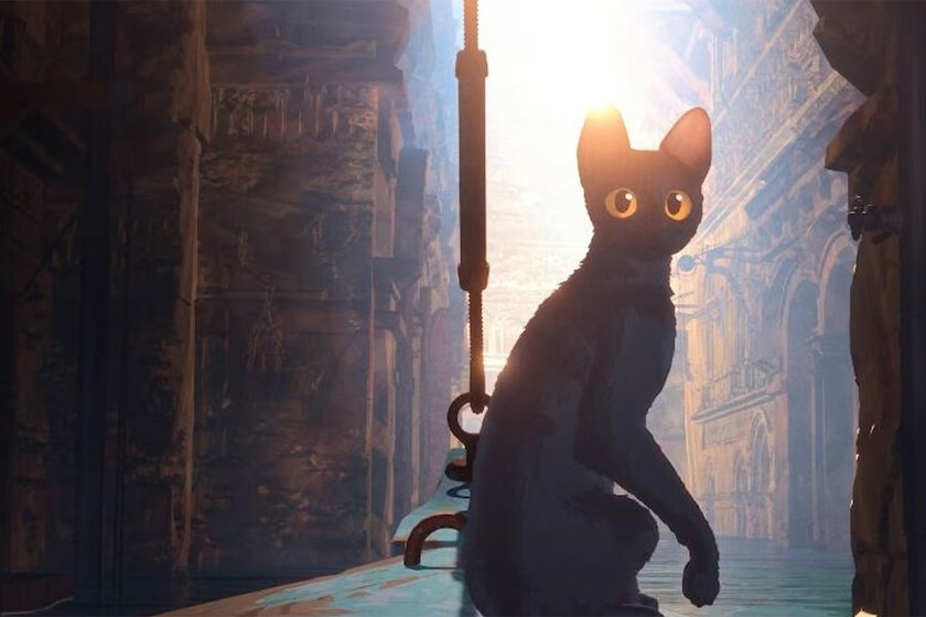 'Flow' es una de las películas de animación imprescindibles del año. Una emotiva odisea animal que ya ha conquistado a los Globos de Oro