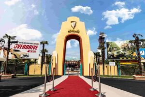 "Es lo más extraño que he visto"