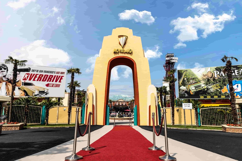 "Es lo más extraño que he visto"