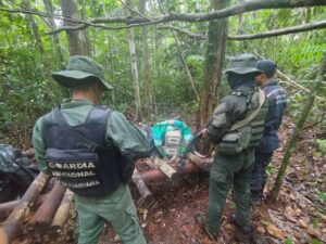 Autoridades incautaron cerca de 5 toneladas de marihuana en Amazonas