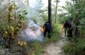 Avioneta se estrelló en el municipio El Hatillo
