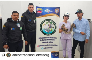 Cicpc rescató una tragavenado - Últimas Noticias
