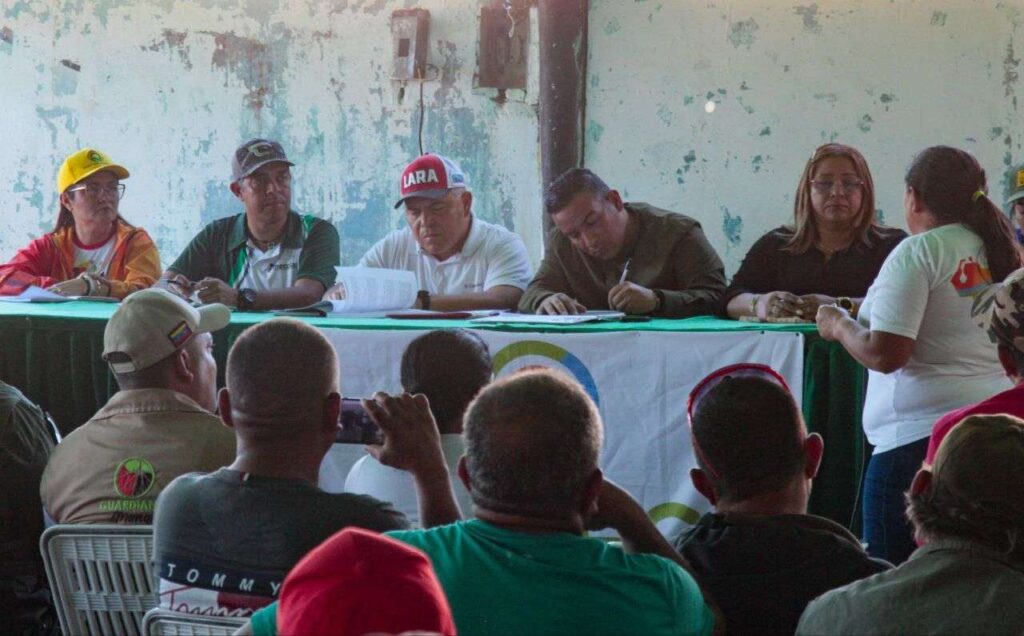 Construirán viveros para 10 millones de plántulas en Lara