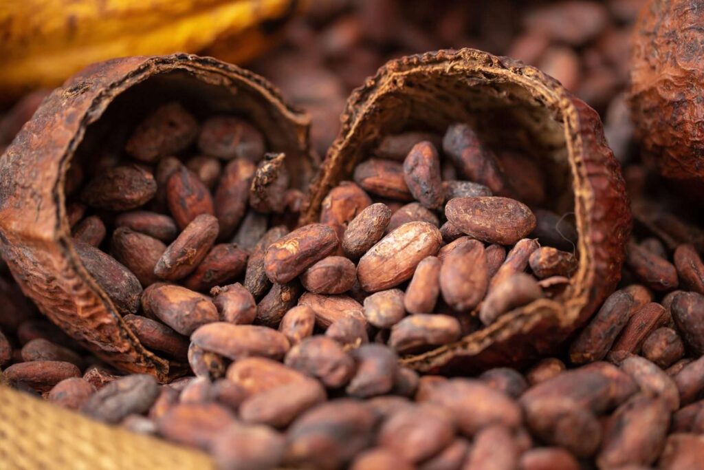 El precio del cacao experimentó una subida de 135% en 2024