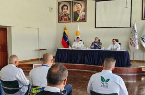 Evalúan estrategias para garantizar operaciones aéreas seguras