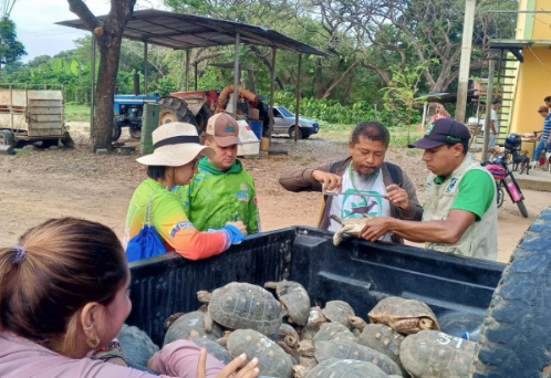 Liberan a 85 ejemplares de la fauna silvestre a su hábitat natural
