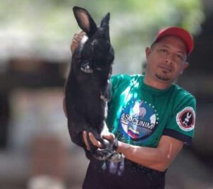 Maturín produce carne de conejo y sus derivados