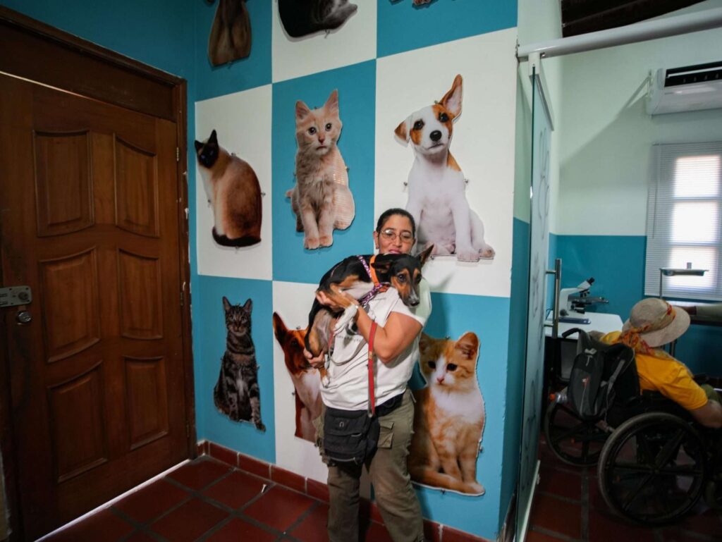 Promulgan ley de protección de mascotas en el municipio Simón Bolívar