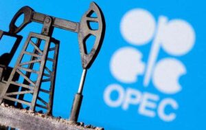 Secretario de la Opep insta a replantear la transición energética