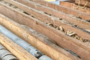 Extraídas muestras con vetas de oro en yacimiento minero del estado Sucre