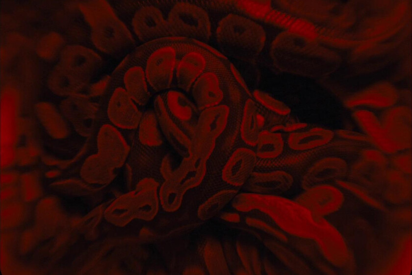 Es una de las mejores películas de terror del último año, uniendo satanismo con thriller, y acaba de estrenarse en streaming