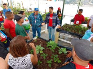 Ciara impulsará producción agrícola Comunal en el territorio nacional