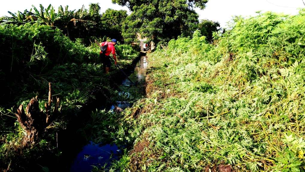 Decretan como permanente limpieza de canales en Tucupita