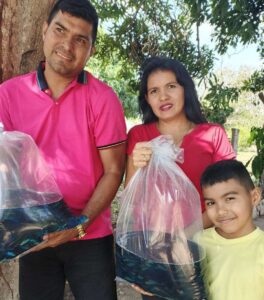 Entregan 1.150 alevines de Coporo a jóvenes productores de Barinas