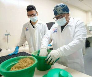 Estudian sustrato como soporte para la producción de bioinsumos