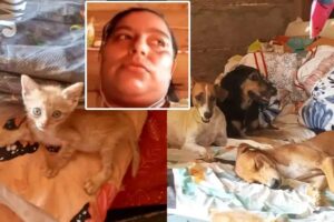 Mujer en Tibú se negó a huir por sus animales