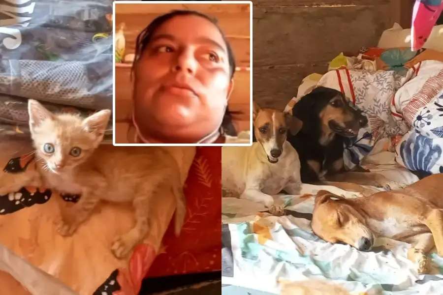 Mujer en Tibú se negó a huir por sus animales
