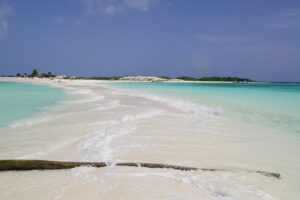 estados costeros anticipan alta afluencia y ocupación hotelera