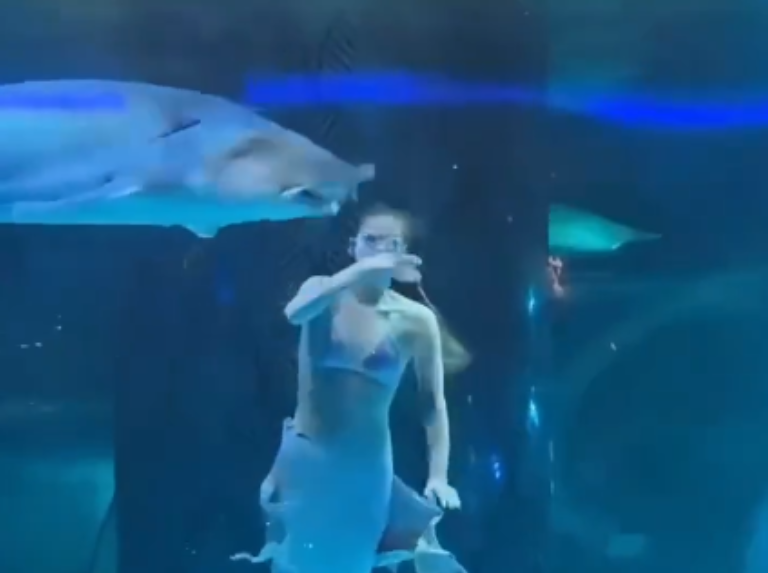 Una "sirena" es atacada por un pez en medio de un show en China