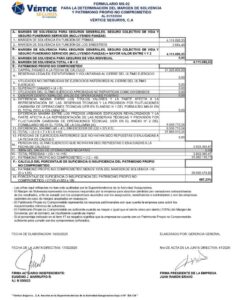 Vértice Seguros MS-02 al 31/12/2024