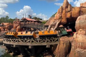 Esta atracción de Disney World es tan intensa que le saca a la gente las piedras del riñón. Y está corroborado por los médicos